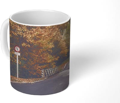 Mok - Koffiemok - Bomen - Weg - Herfst - Mokken - 350 ML - Beker - Koffiemokken - Theemok