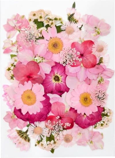 SnelShoppen - 37 Echte Natuurlijke Roze Bloemenmix voor Harsvormen, DIY Ambachten, Trouwkaarten, Nail Art en Kaarsen Maken - Inclusief Hortensia en Ma