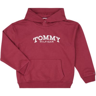 Tommy Hilfiger  Capuchon sweaters MONOTYPE PRINT HOODIE