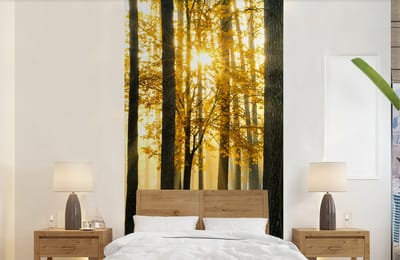 Behang - Fotobehang Bos - Zon - Bomen - Gras - Landschap - Natuur - Breedte 120 cm x hoogte 240 cm