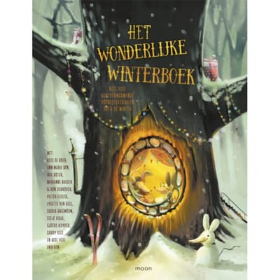Het Wonderlijke Winterboek - Marianne Busser