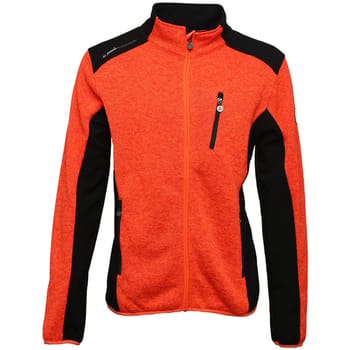 Fleece Jack Peak Mountain Blouson polaire femme AVIRO