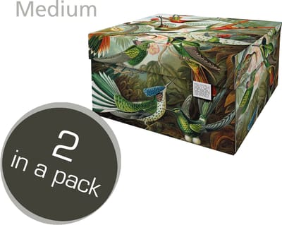 Dutch Design Brand - Dutch Design Storage Box Medium - Opbergdoos - Opbergbox - Bewaardoos - Planten, Jungle, Kolibries - Art of Nature