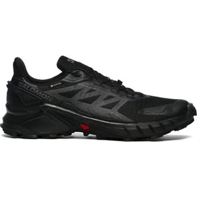 Wandelschoenen Salomon Supercross 4 Gtx