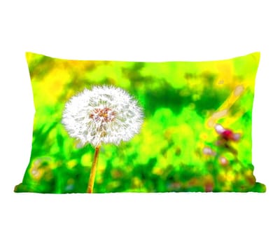 Sierkussens - Kussentjes Woonkamer - 50x30 cm - Paardenbloem - Grasveld - Bloem