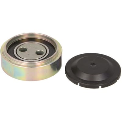 Schaeffler Ina Spanpoelie, V-riem INA 531 0307 10