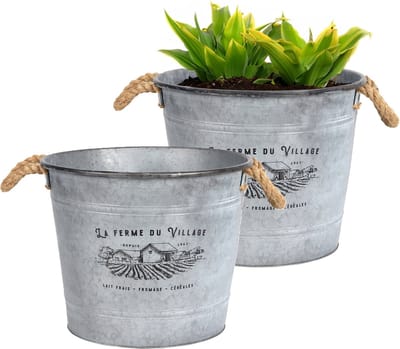 Sunnydays Emmer/plantenpot/bloempot - 2x - zink - zilver - D38 x H31 cm