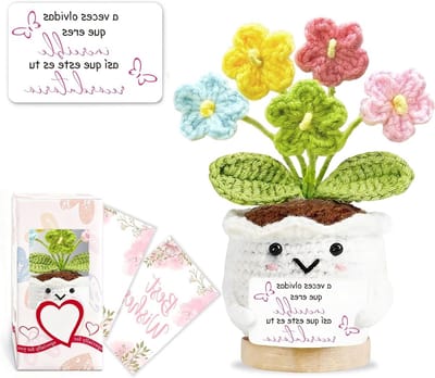 Handgemaakte Haakbloemen met Kaart en Doos - Functionele Cadeaus voor Vrouwen, Moeders, Vriendinnen en Leraren - Persoonlijk Cadeau voor Verjaardag, Kerst, Valentijnsdag en Moederdag