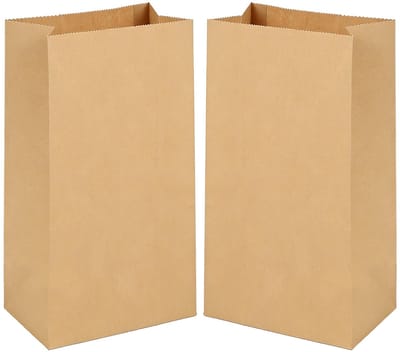 Dailygoods - 100 Papieren Geschenkzakjes - Biologisch afbreekbaar voor diverse toepassingen