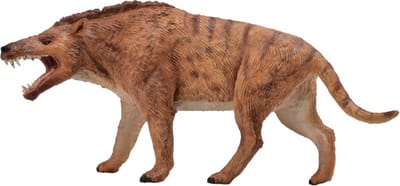 COLLECTA Figurine - Andrewsarchus - 1:20 - Prehistorie - Handgeschilderd - Miniatuur