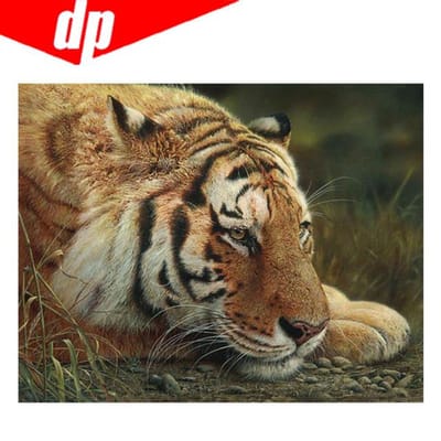 Dierlijke tijger diamant borduurwerk 5D DIY diamant schilderij kruissteek foto volledige ronde diamant 20X30 beige