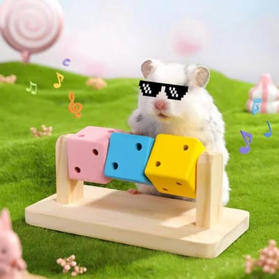 Kauwblokken voor hamsters - Houtenspeelgoed dieren - Tanden gezond houden - Glad en braamvrij