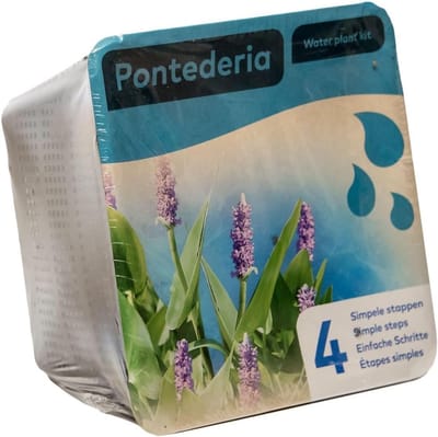 Vijverplant Set - Waterplanten Pakket - Mooie Vijver Creëren - Compleet Inclusief Mand - 19x19x10 cm Mand