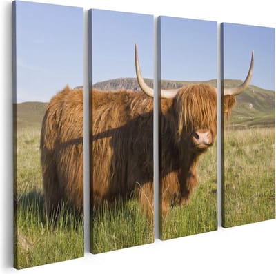 Artaza Canvas Schilderij Vierluik Schotse Hooglander Koe - Kleur - 80x60 - Foto Op Canvas - Canvas Print