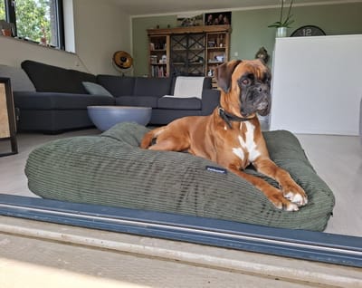 Dog's Companion Hondenkussen / Hondenbed - XS - 55 x 45 cm - Hunting Double Ribcord