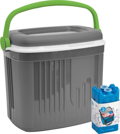 Koelbox met koelelementen - 20 liter - kunststof - grijs - 39 x 28 x 39 cm