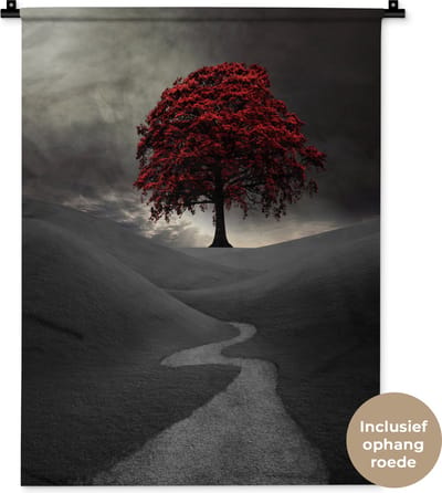 Wandkleed Rood zwart wit - Een zwart-wit foto met een grote rode boom Wandkleed katoen 60x80 cm - Wandtapijt met foto
