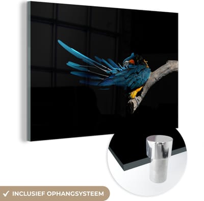 MuchoWow® Glasschilderij 120x80 cm - Schilderij acrylglas - Vogel - Veren - Tak - Zwart - Foto op glas - Schilderijen