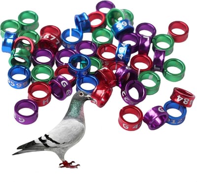 Open Bird Ring - 50pcs Bird Foot Rings - Geschikt voor Vogel - Papegaai - Duif - Kwartel - Kuiken - Binnen Diameter ongeveer 6mm (Gemengde Kleuren)