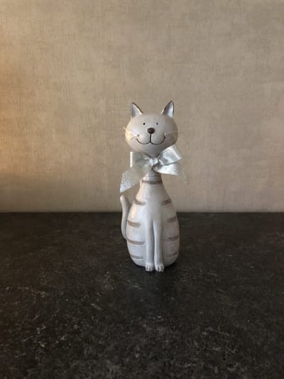 Timmy de kat