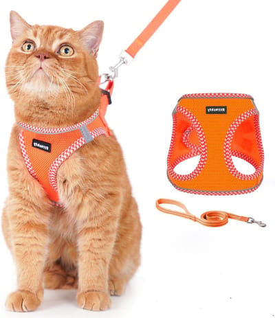 Kattenharnas en riemset - Katten tuigje kattenlijn - Veilig wandelen - Ontsnappingsbestendig ontwerp - Borstomtrek 44-50 cm - Oranje