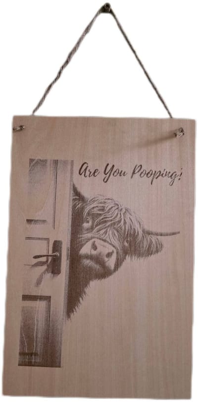 cow/koe toilet bordje gegraveerd, are you pooping? Laserkado