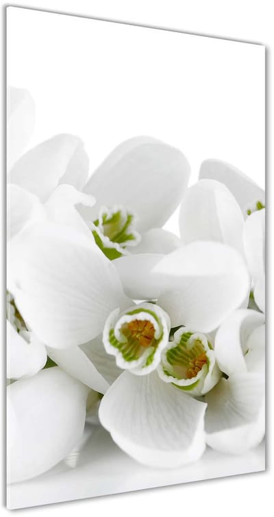 Tulup Glasschilderij - Foto Glas Witte Sneeuwklokjes - 50 cm x 100 cm - Weiß Glas Foto - Foto In Glas - Klassieke Glasafbeeldingen - Foto In Glas - Glasdecoratie voor de Woonkamer