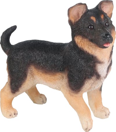 staande Duitse herder pup - Hamac - Tuinbeeld