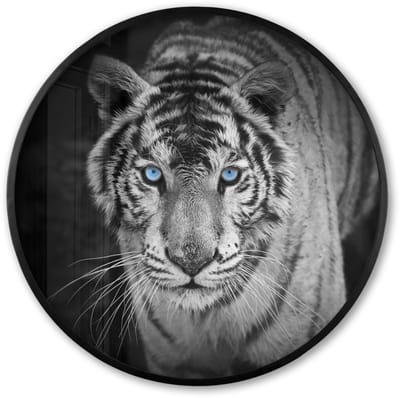 Poster in lijst Rond - Fotolijst 60x60 cm - Posters - Tijger - Dier - Zwart - Blauw - Modern - Ronde posterlijst zwart - Decoratie - Wanddecoratie woonkamer - Muurdecoratie slaapkamer