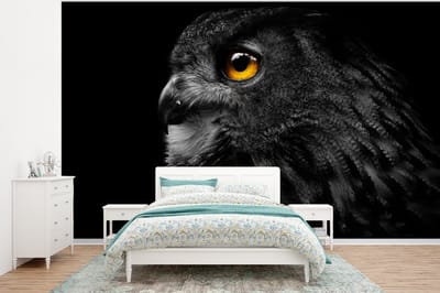 Behang - Fotobehang Uil - Vogel - Zwart - Portret - Breedte 295 cm x hoogte 220 cm
