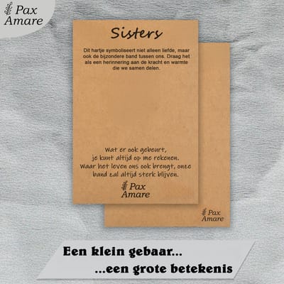BFF Ketting voor 3 'Sisters' - Magnetisch Glitter Hartje - Vriendschapsketting op Cadeau Kaartje - 45cm + 5cm verstelbaar - Zilverkleurig - Best Friends Hanger - Pax Amare