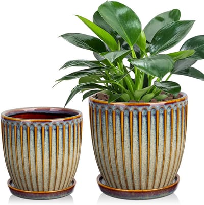 Set van 2 Decoratieve Keramische Plantenpotten 13cm en 15cm met Drainagegaten en Schotels voor Binnen, Ideaal voor Vetplanten en Cactussen
