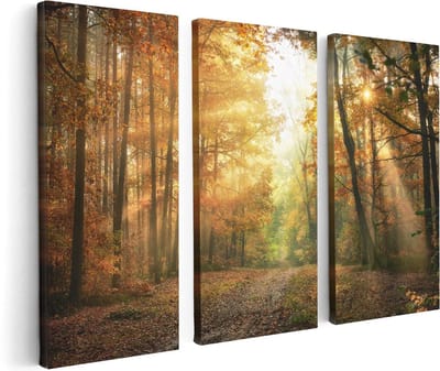 Artaza Canvas Schilderij Drieluik Herfstbos Met Zonneschijn - 120x80 cm - Wanddecoratie Woonkamer - Schilderijen - Muurdecoratie