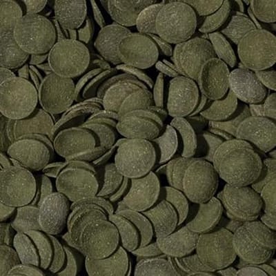 Onlineaquarium spullen Algen wafels