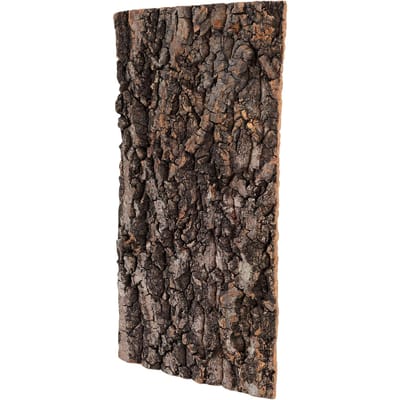 Fond de Terrarium en Liège pour Reptile Écorce de Liège Naturelle Mur d'Escalade Décoration pour Lézards Serpents Araignées 11.81x5.91in black