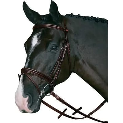Hoofdstellen met neusriem HorseGuard