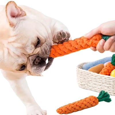 Duurzaam Hondenspeelgoed – Wortelvormig Trekspeeltje met Touw & Kwast (22 cm) – Bijt- & Trekspeelgoed voor Alle Honden