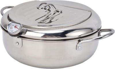 Kleine Frituurpan - Mini Frituurmandje - Thuis Koken - Temperatuur Regelbaar - Compact Formaat - Zilver