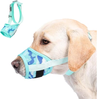 Hondenmuilkorf Ademend Gaas voor Kleine Middelgrote en Grote Honden, Verstelbare Snuit Muilkorf Zachte Honden Training Mond voorkomt Bijten Kauwen Blaffen en Afval Eten, Hijgen en Drinken(GroenBlauw,M)