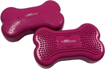 FitPAWS Dierenbalansplatformen 2 st Mini K9FITbone 29x16,5x6 cm Razzleberry