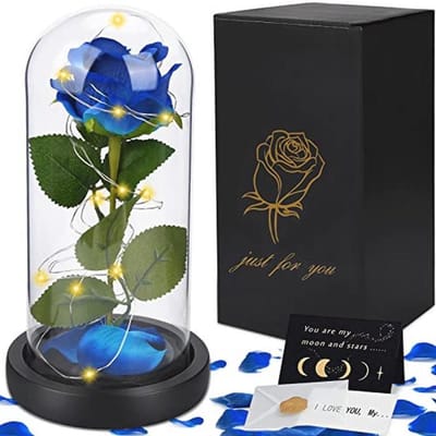 Eeuwige Roos in Glas met LED-Licht - Perfect voor Moederdag, Verjaardag, Valentijnsdag en Huwelijksdag