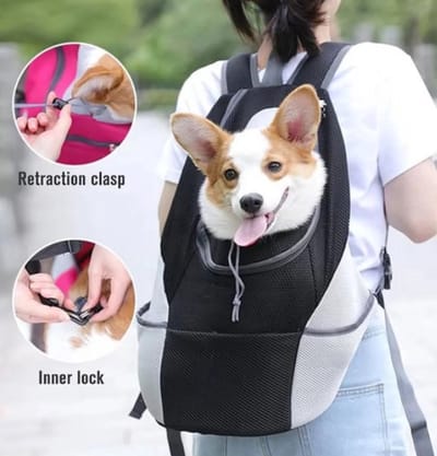 Draagtas voor Honden Maat M – Zwart Ademend en Verstelbaar Rugzakje voor Kleine en Middelgrote Honden – Ideaal voor Reizen, Outdoor en Wandelen – Comfortabele en Draagbare Hondentas
