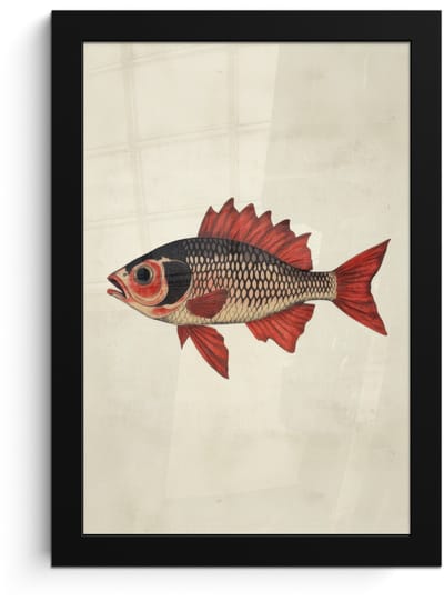 Poster in lijst - Fotolijst 20x30 cm - Posters - Schubben - Rood - Vis - Vinnen - Posterlijst zwart - Decoratie - Wanddecoratie woonkamer - Muurdecoratie slaapkamer