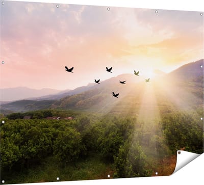 Gards Tuinposter Silhouet Zwerm Vogels bij Zonsondergang - 160x120 cm - Tuindoek - Tuindecoratie - Wanddecoratie buiten - Tuinschilderij