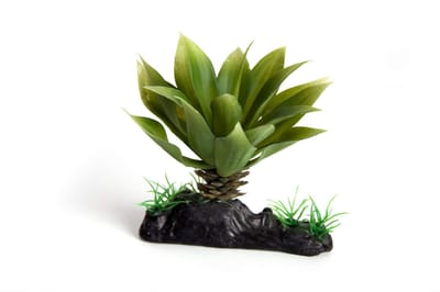 RepTech Terrarium Plant Thick Succulent