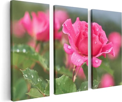 Artaza Canvas Schilderij Drieluik Roze Roos Met Waterdruppels - 120x80 - Foto Op Canvas - Canvas Print