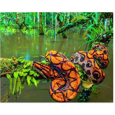 Volledige Ronde Boor Diamant Borduurwerk Boa Python Slang 5D DIY Diamant Schilderen Kruissteek Strass 20X30CM green
