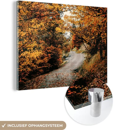 MuchoWow® Glasschilderij 40x30 cm - Schilderij acrylglas - Herfstbos - Pad - Bladeren - Landelijk - Foto op glas - Schilderijen