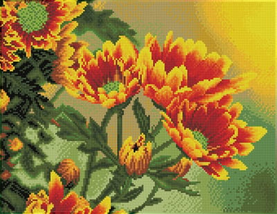 DQK9.001 Diamond Dotz® - Hobby Pakket - Diamond painting volwassenen - Diamond painting met lijst - Oranje madeliefjes 35 x 45cm - Vierkante steentjes - Diamond painting pakket volledig