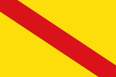 Vlag Hove 100x150cm